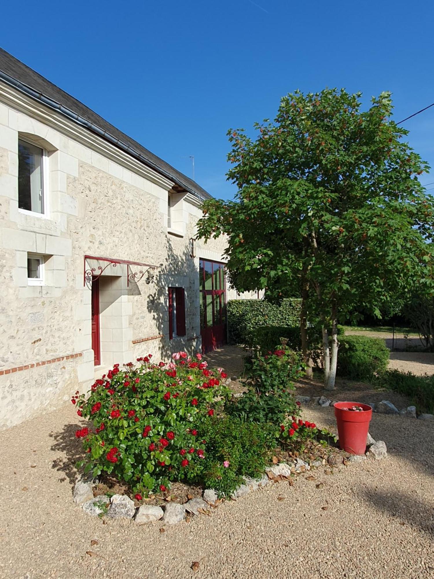 LuzilléAu Domaine Du Bois Joubert住宿加早餐旅馆 外观 照片